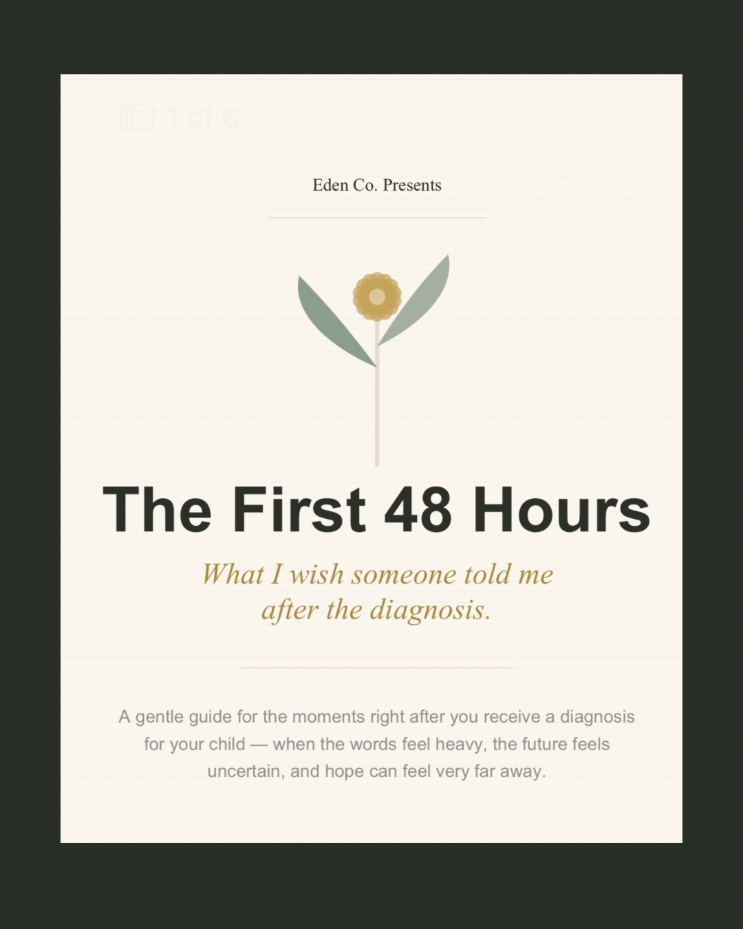 The First 48 Hours - A Guide for Special Needs Parents